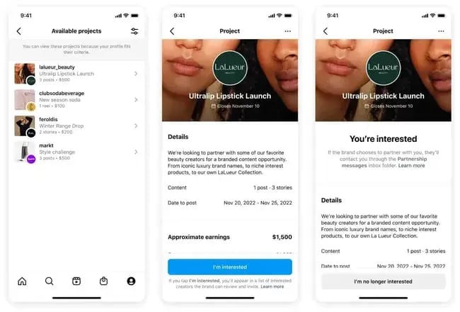 instagram brand projects example